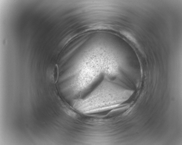 X0000068281273200605051832