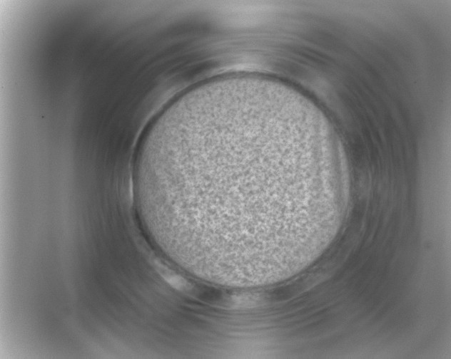 X0000068281274200605051832