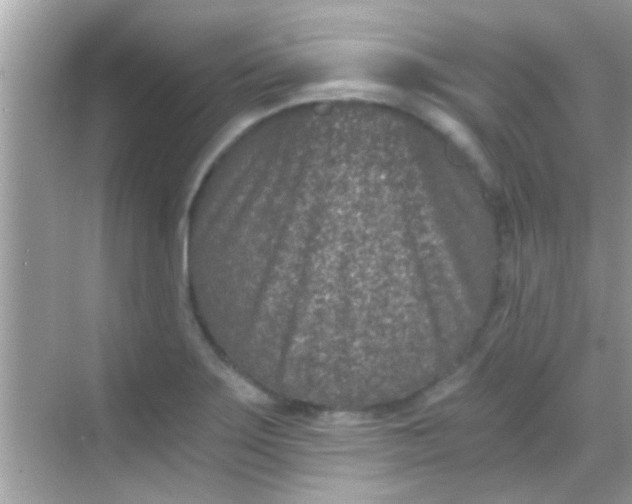 X0000068281275200605051832