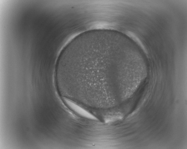 X0000068281277200605051832