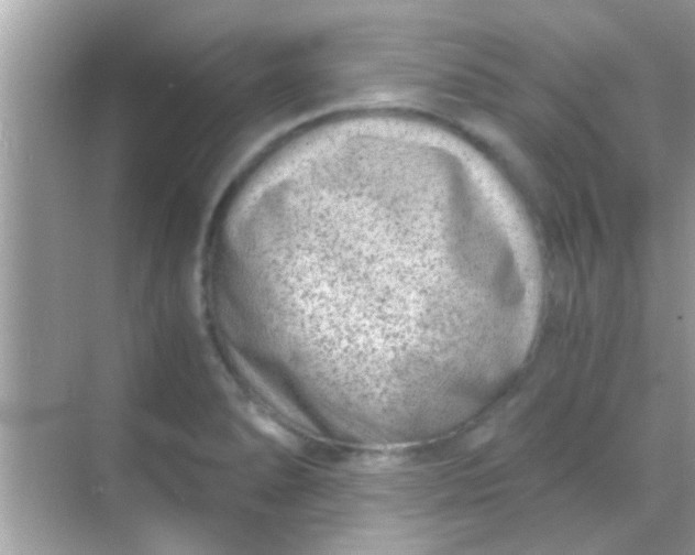 X0000068281278200605051832