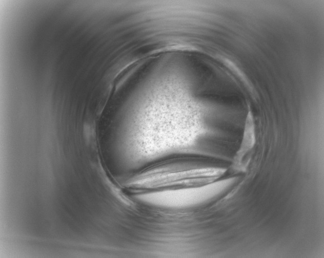 X0000068281281200605051832