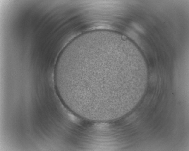 X0000068281282200605051832