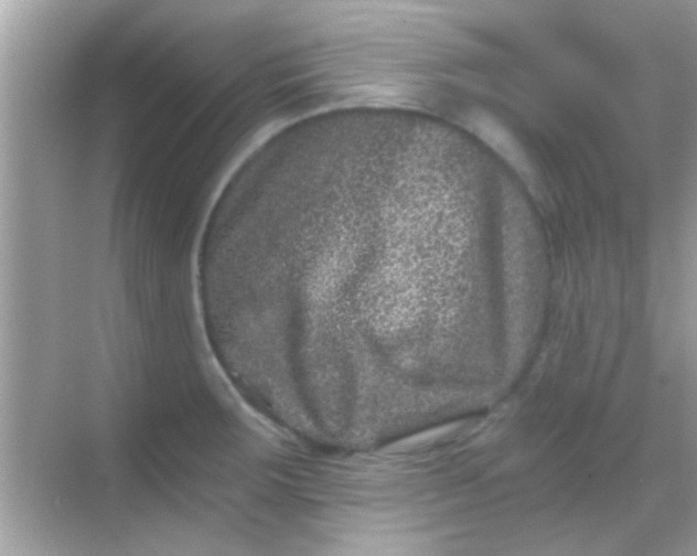 X0000068281283200605051832