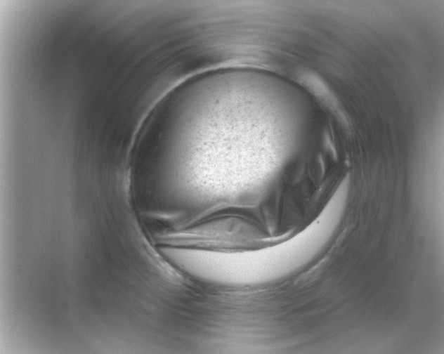 X0000068281284200605051832