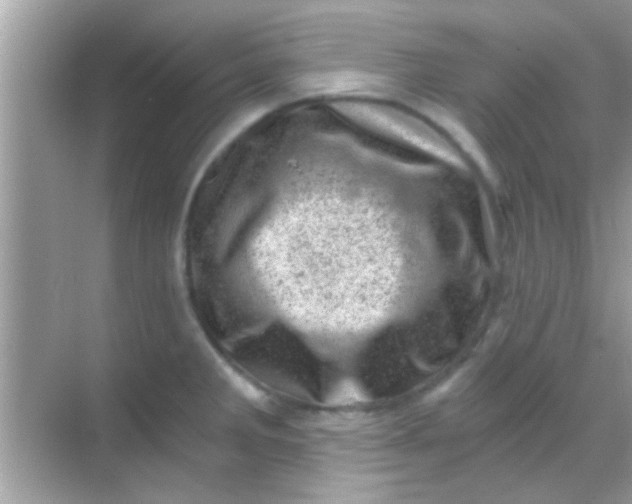 X0000068281285200605051832