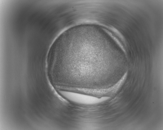 X0000068281287200605051832