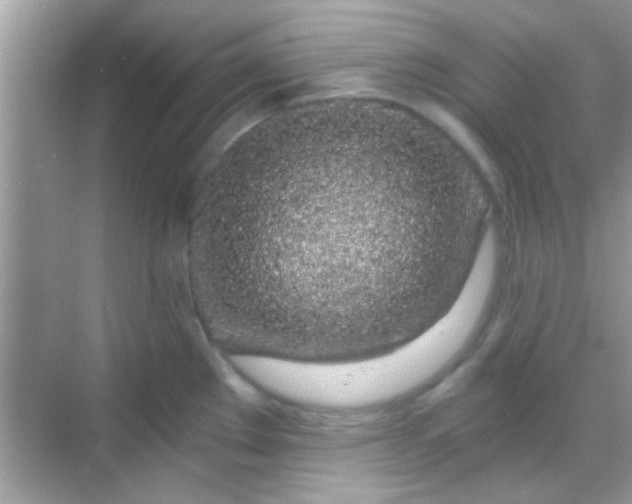 X0000068281289200605051832