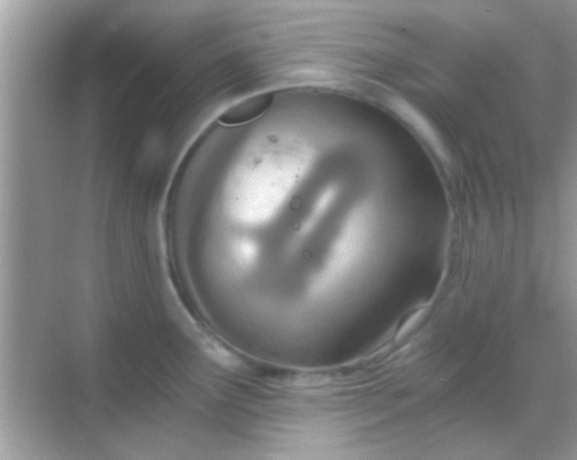 X0000068281291200605051832