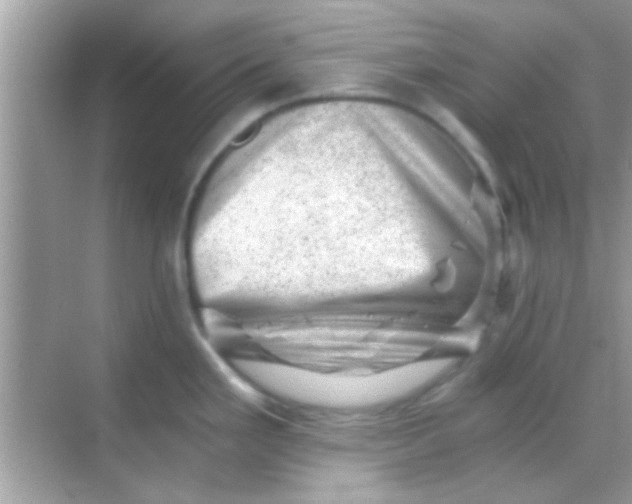 X0000068281293200605051832