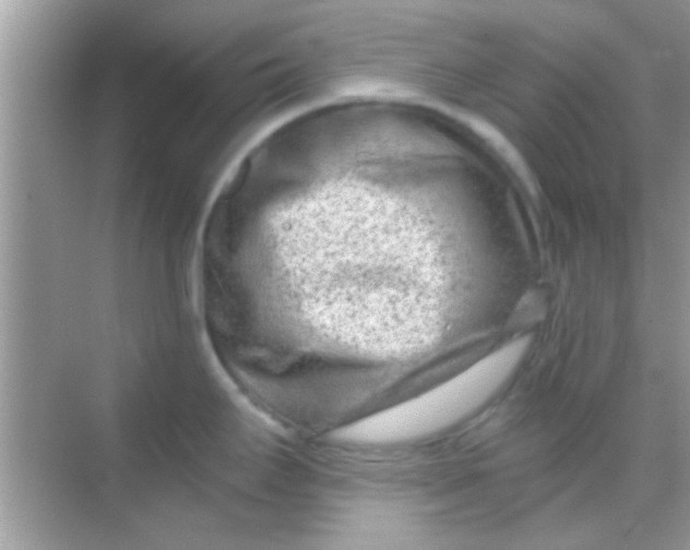 X0000068281295200605051832