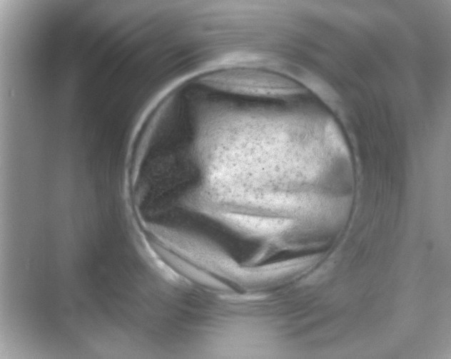 X0000068281296200605051832