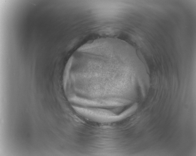 X0000068281297200605051831