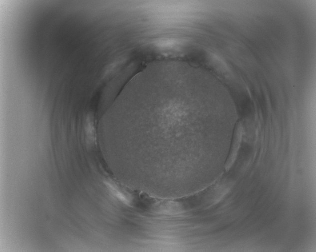 X0000068281298200605051831