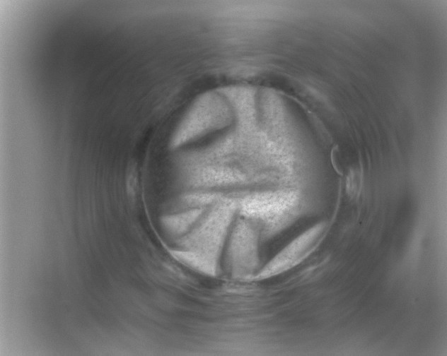 X0000068281299200605051831