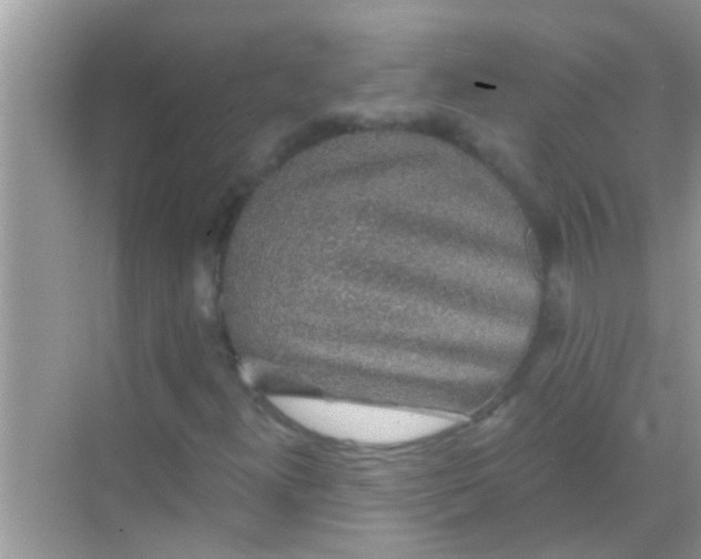 X0000068281300200605051831