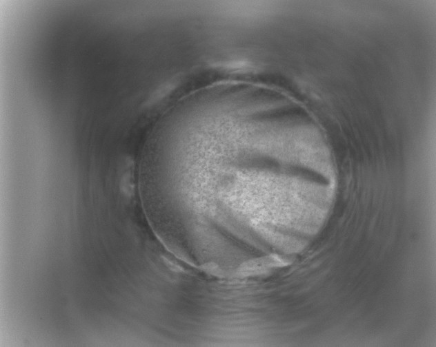 X0000068281301200605051831