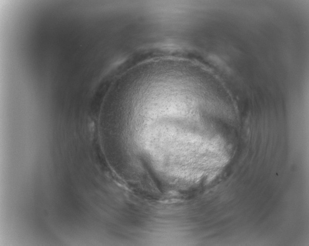 X0000068281302200605051831