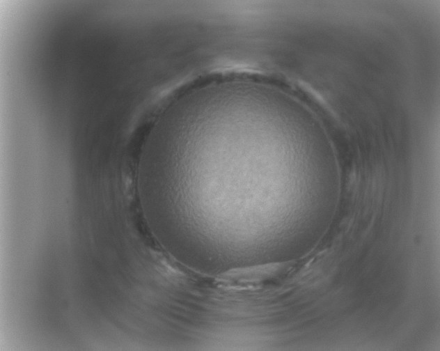 X0000068281303200605051831