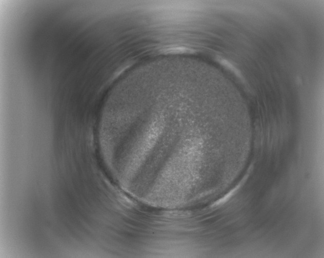 X0000068281305200605051831