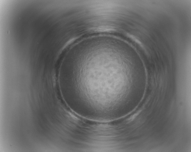 X0000068281306200605051831