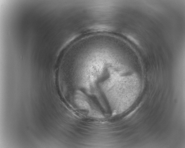 X0000068281309200605051831