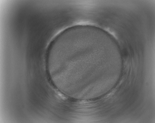 X0000068281311200605051831