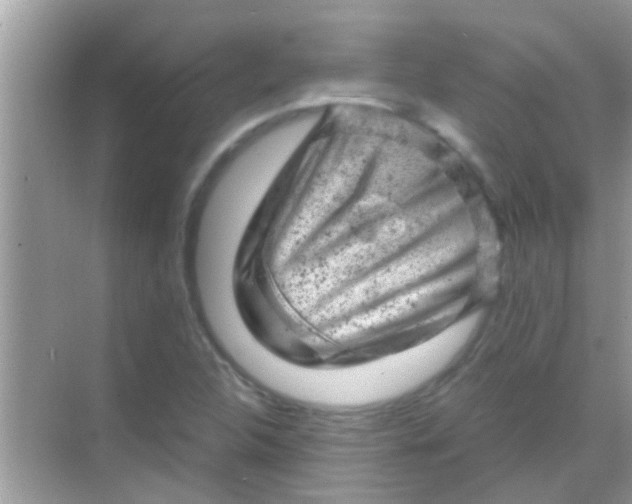 X0000068281312200605051831