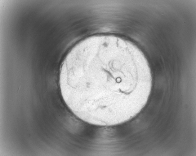 X0000068281314200605051831