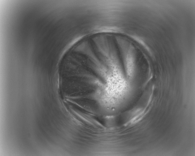 X0000068281317200605051831