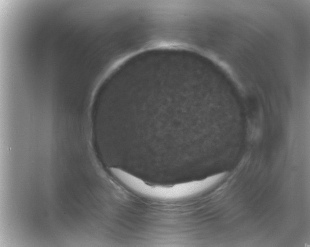 X0000068281319200605051831