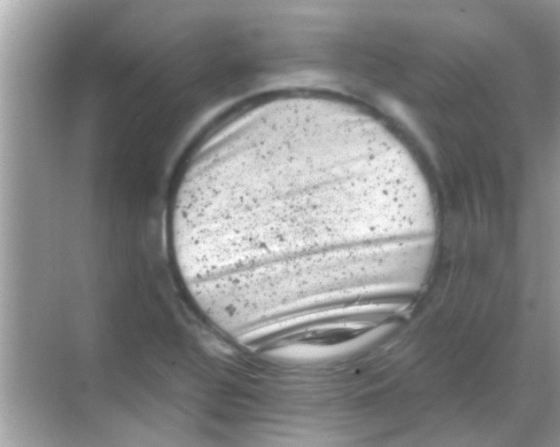 X0000068281320200605051831