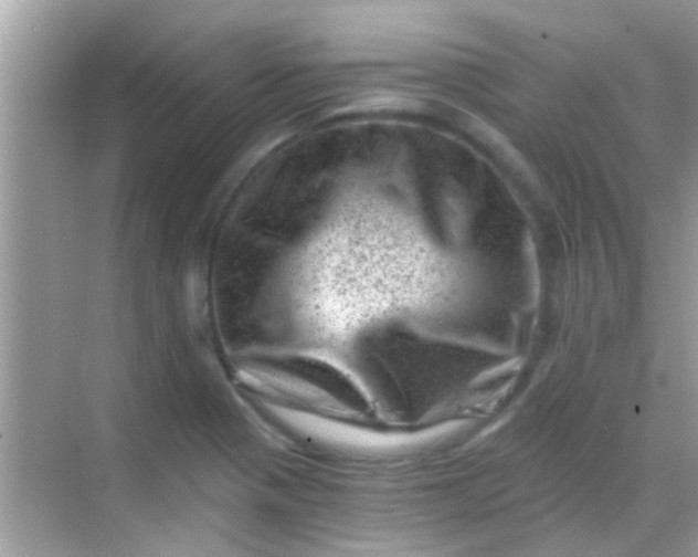 X0000068281321200605051831