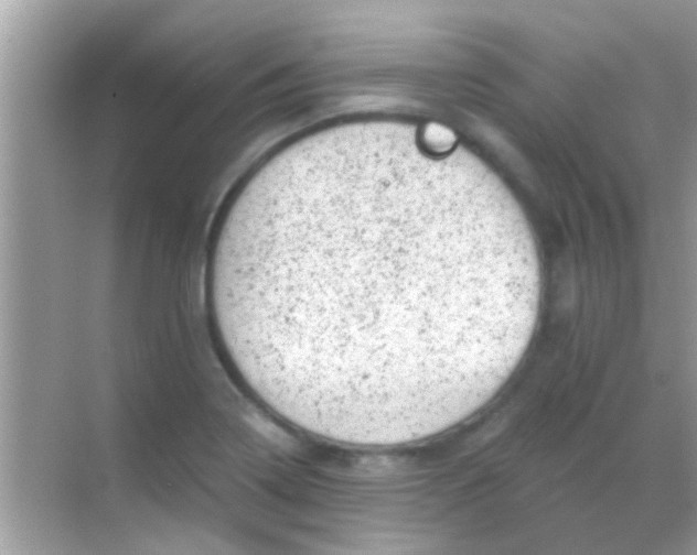 X0000068281322200605051831