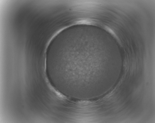 X0000068281323200605051831