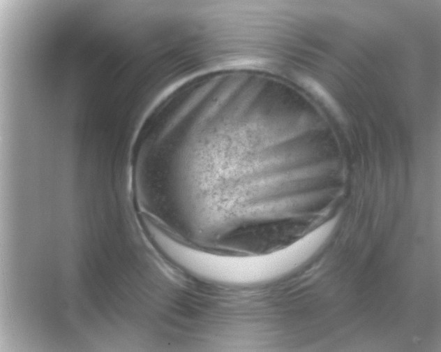 X0000068281324200605051831