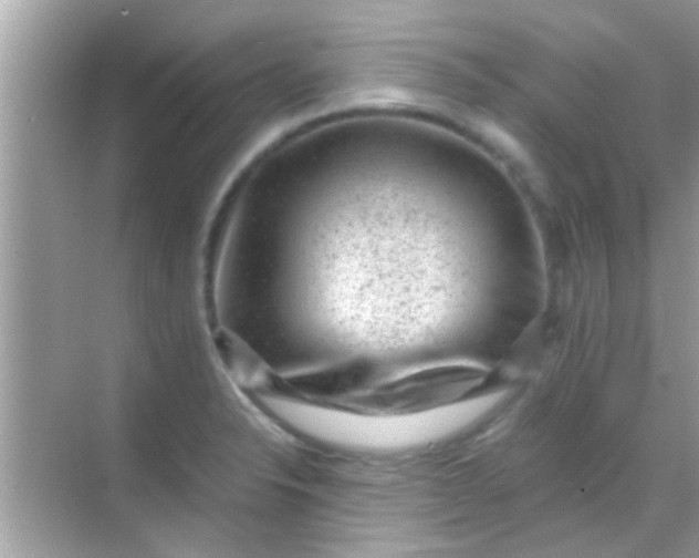 X0000068281326200605051831