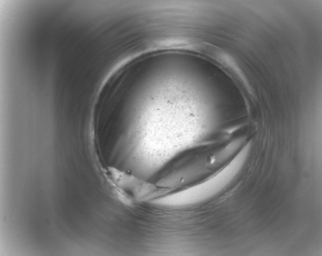 X0000068281328200605051831