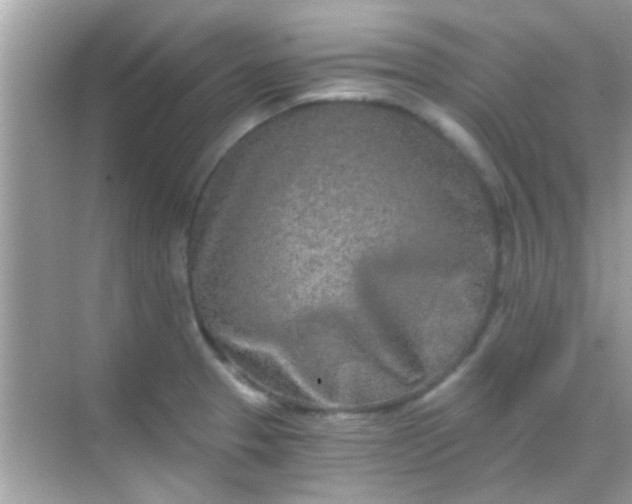 X0000068281329200605051831