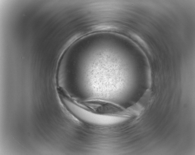 X0000068281330200605051831