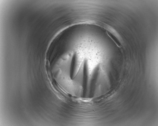 X0000068281332200605051831