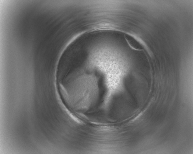 X0000068281333200605051831