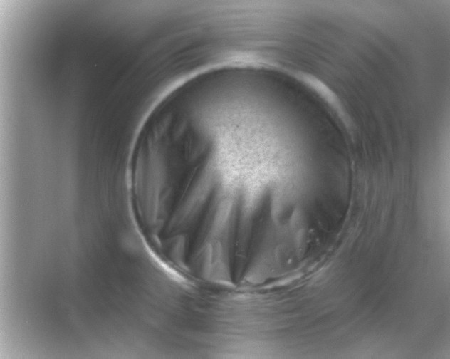 X0000068281335200605051831