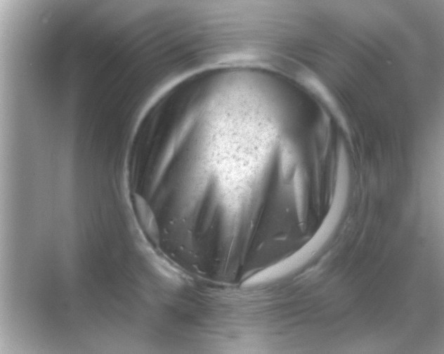 X0000068281336200605051831