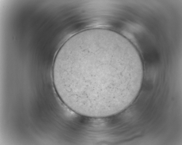 X0000068281338200605051832