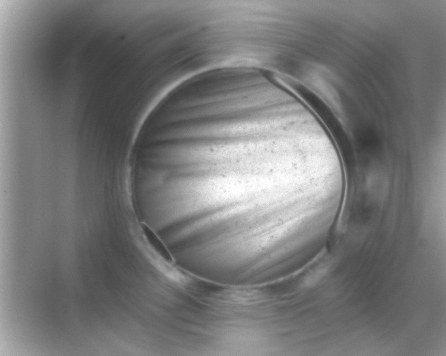 X0000068281340200605051832