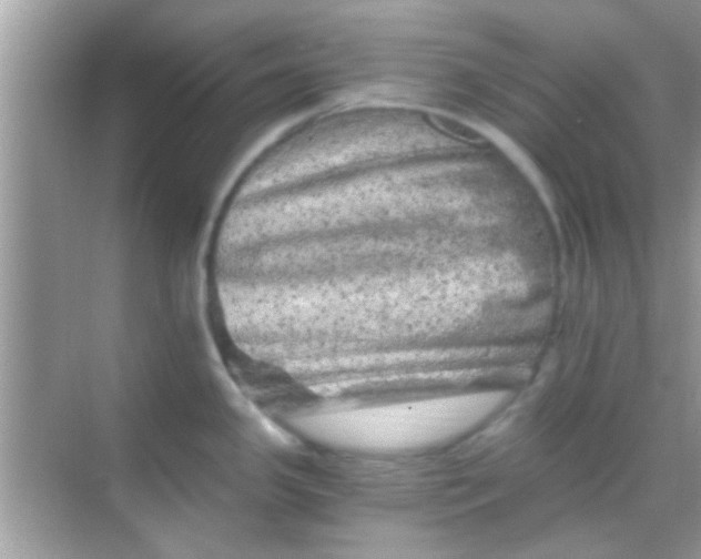 X0000068281341200605051832