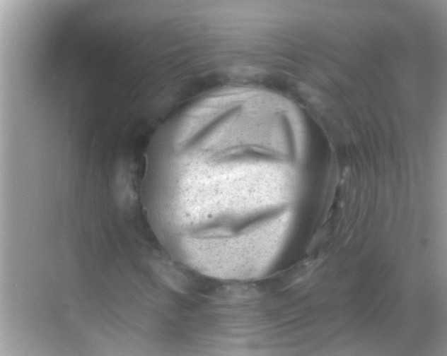 X0000068281346200605051831