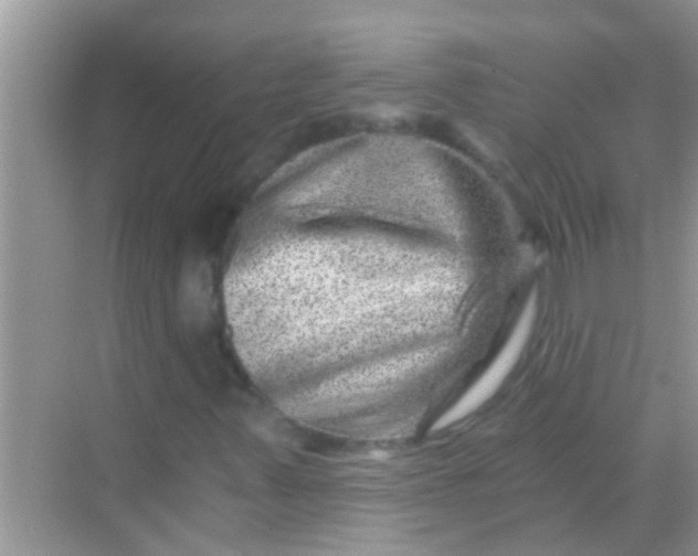 X0000068281347200605051831