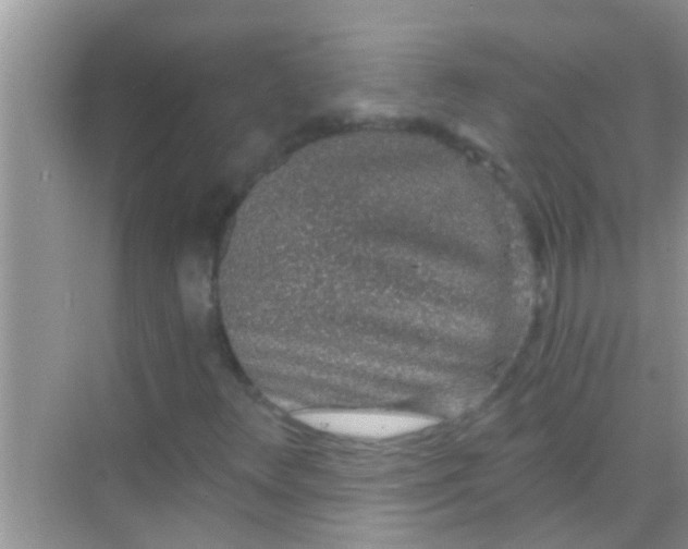 X0000068281348200605051831